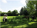 Grazing horses at Turweston