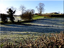 H4569 : Frosty at Lissan by Kenneth  Allen