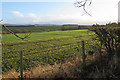 Field near Fountain Head