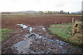 Muddy Gateway