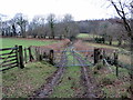 Llwybr ger Blaen-tir / Path near Blaen-tir