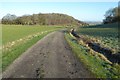 SP0034 : Track and bridleway near Hill Farm by Philip Halling