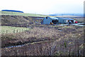 Sheds at Upper Hindhope