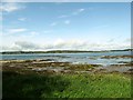 J6048 : The shores of Granagh Bay south of Portaferry by Eric Jones
