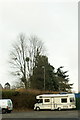 Mistletoe in a tree, Bagshot Road, Chobham