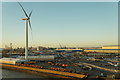 Tilbury Docks from the cruise terminal