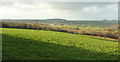 Towards Tedburn St Mary