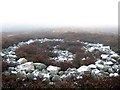 NY9351 : Bronze Age Ring Cairn, Birkside Fell by Andrew Curtis