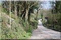 Quantock Hills:  Exit from Quantock Combe and Rams Combe