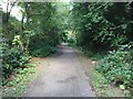 Path in heading to Hagbourne Road