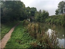 SU1661 : Kennet & Avon Canal Walk by Shaun Ferguson