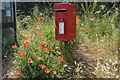 Postbox and poppies