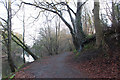 River Ayr Walk