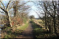 River Ayr Walk