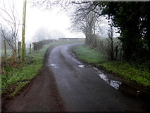 H5069 : Dryarch Road, Donaghanie by Kenneth  Allen