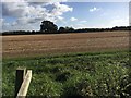 Path heading to Pinmarsh Farm