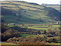 Gwar-allt (hill) and Dyffryn Rheidol viewed from Pant Da