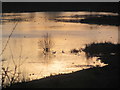SP9314 : Winter Sunlight on the Marsh at College Lake by Chris Reynolds