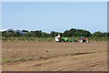 SM7625 : Potato harvesting in fields on the edge of St David's by Simon Mortimer