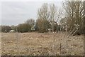 SP3879 : Floodmeadow bordered by poplars, above Sowe Bridge, Walsgrave, east Coventry by Robin Stott