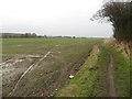 Field edge and bridleway