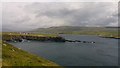 V3573 : Foilhommerum Bay and Scughaphort Reef, Valentia Island, County Kerry by Phil Champion