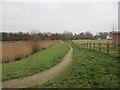 Footpath by a retention pond