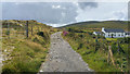 V3473 : Track towards the Signal Tower at Bray Head, Valentia Island County Kerry by Phil Champion