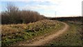 Walking, cycling and horse riding track