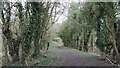 Bridleway leading from Longhedge Lane to Newboundmill Lane