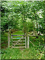 Green Lane towards Brynog in Ceredigion