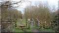 Pleasley Pit Country Park