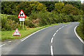 H1057 : A46, Lough Shore Road near Church Hill by David Dixon