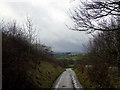 Access Track to Horse Close