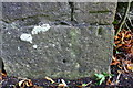 Benchmark on B6480 wall at Kelcow Wood