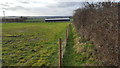 A walk between a hedge and a fence