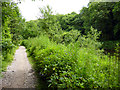 Path by River Medway