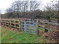 Llwybr yn agosau at yr A48 /  A path approaching the A48