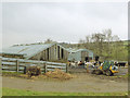 SE0840 : Cows at Currer Laithe Farm by Stephen Craven