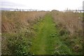 Path to the beach, Toward