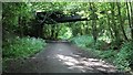 Bridge over the Skegby Trail