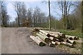 Timber stack and building, Hooke Park