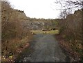 Disused quarry, Sandford Batch