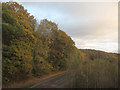 Cart Road, Chapeltown