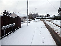 H4672 : Snow, Knockgreenan Avenue by Kenneth  Allen