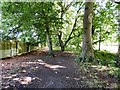 Footpath to Siddall