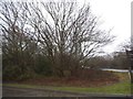 The entrance to Gilwell Park, Sewardstone