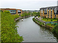 River Medway, Maidstone