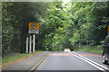 Entering Grayswood, A286