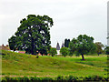 A glimpse of oast houses